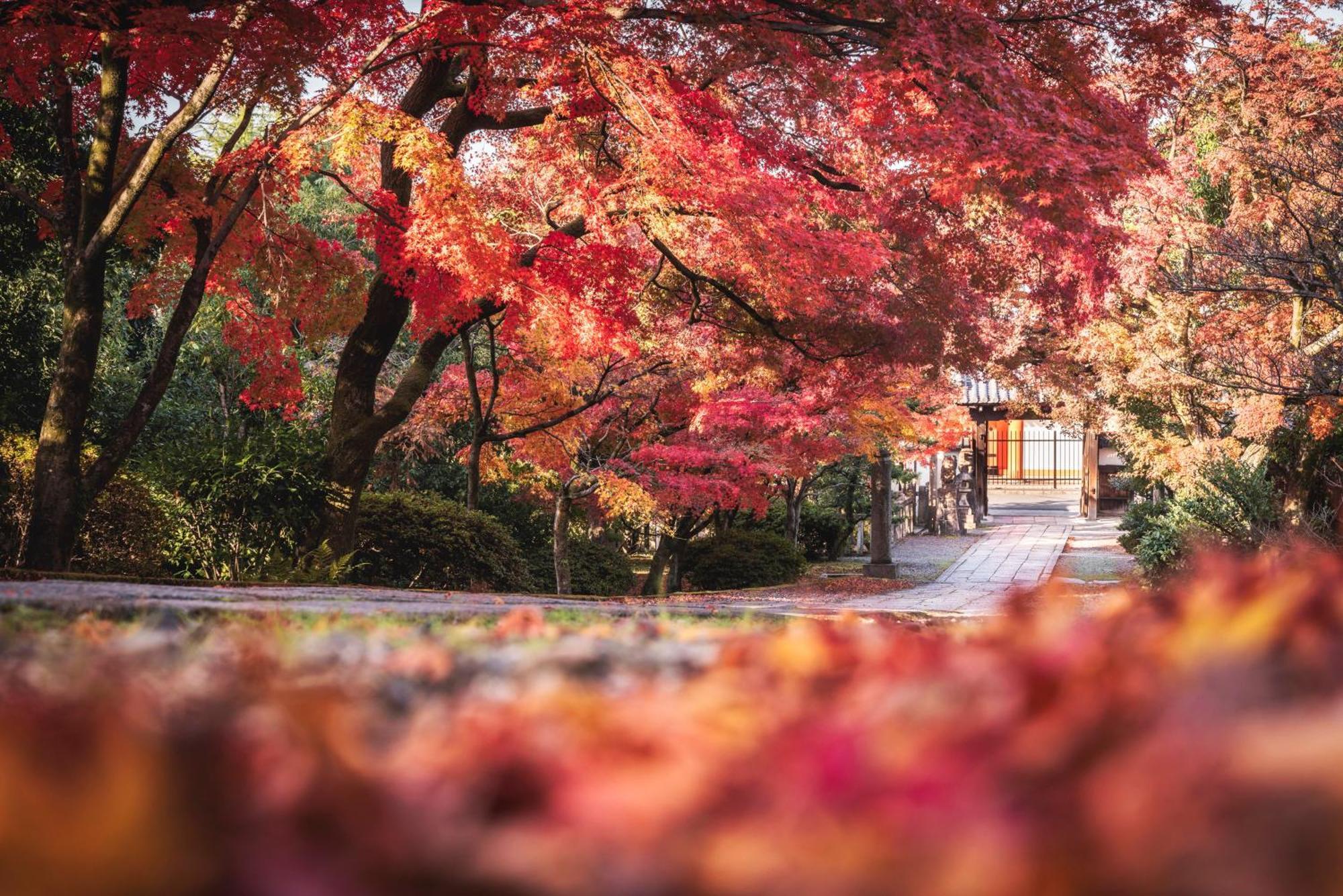 Omo5 Kyoto Gion By Hoshino Resorts Exterior photo